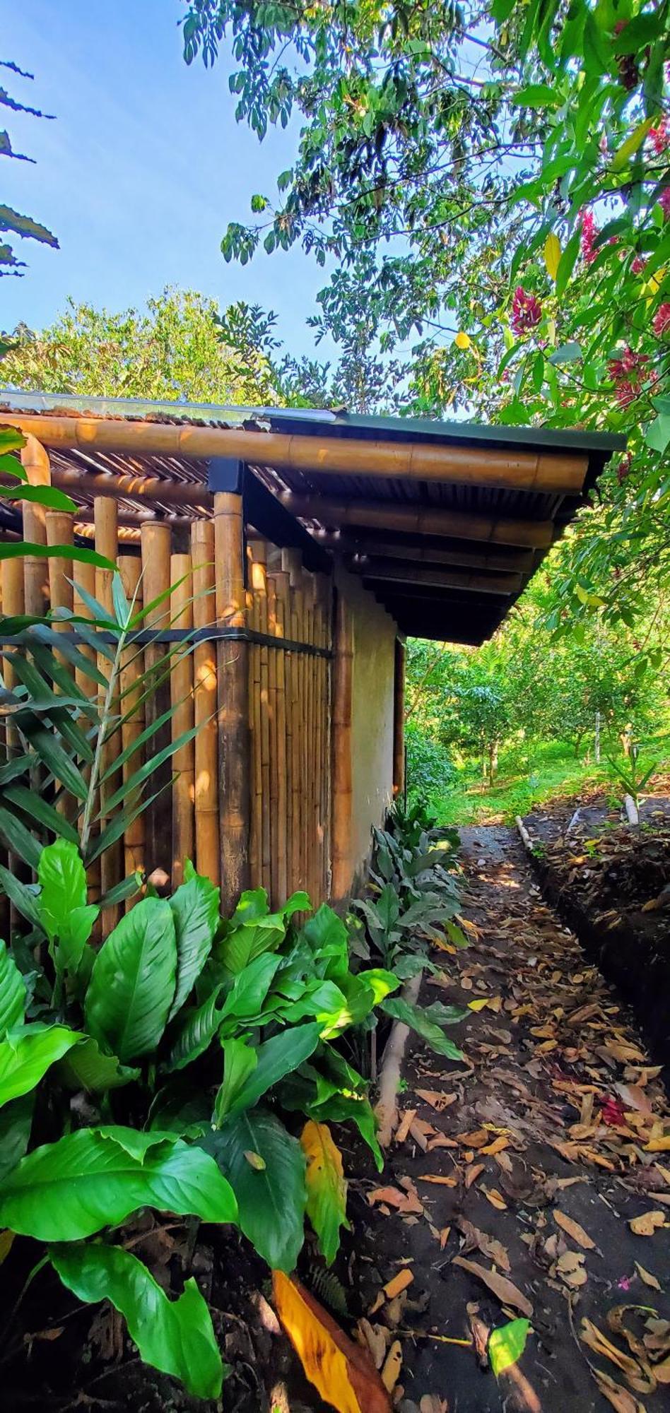 Ecohotel Alma Calarcá المظهر الخارجي الصورة