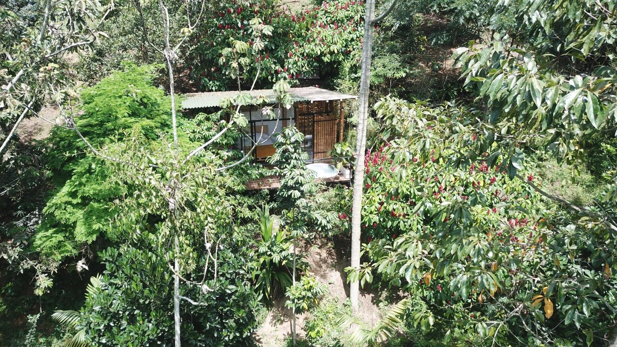 Ecohotel Alma Calarcá المظهر الخارجي الصورة
