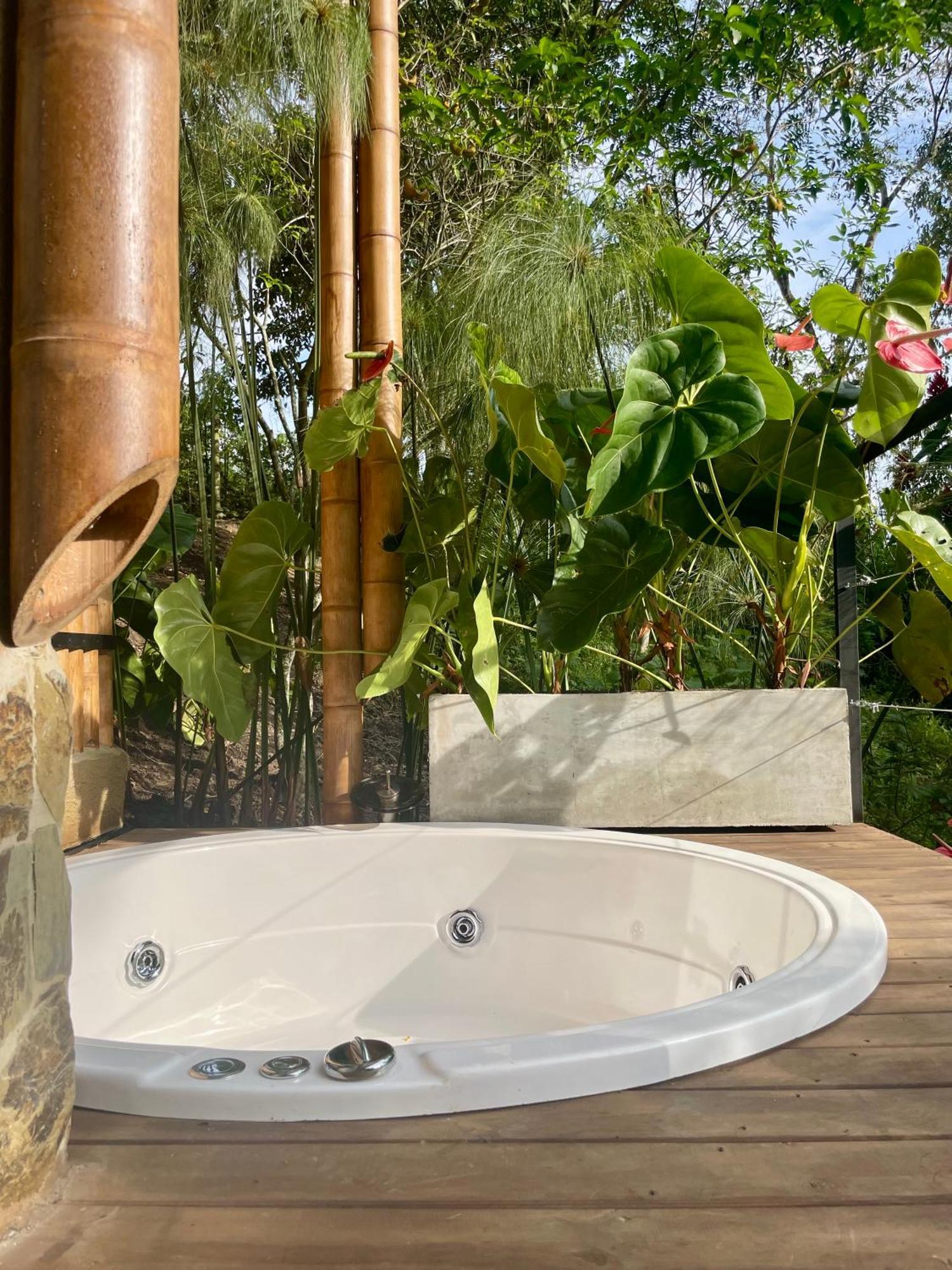 Ecohotel Alma Calarcá المظهر الخارجي الصورة